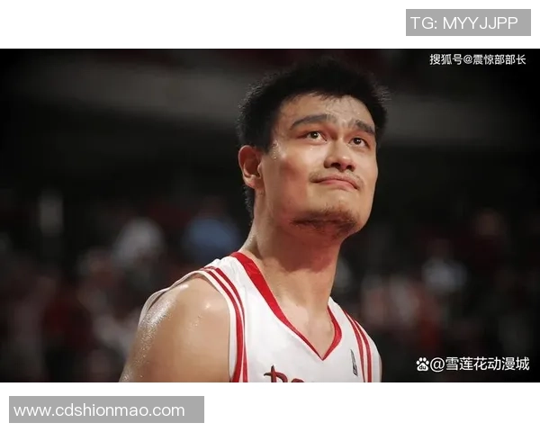 纳什与姚明的篮球传奇：从对决到友谊的跨越之路