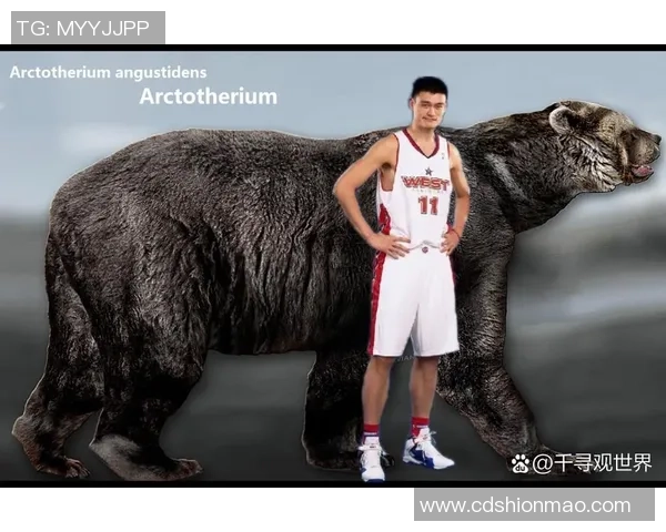 姚明如今体重是多少斤他的健康状况与职业生涯的关系分析