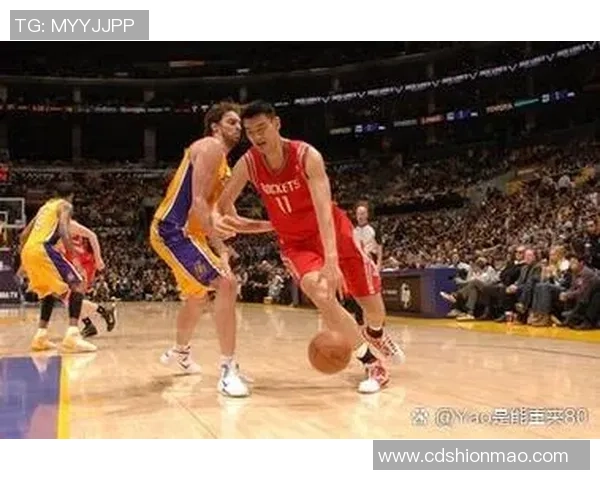 姚明秀起来展现中国篮球魅力与运动精神的精彩瞬间