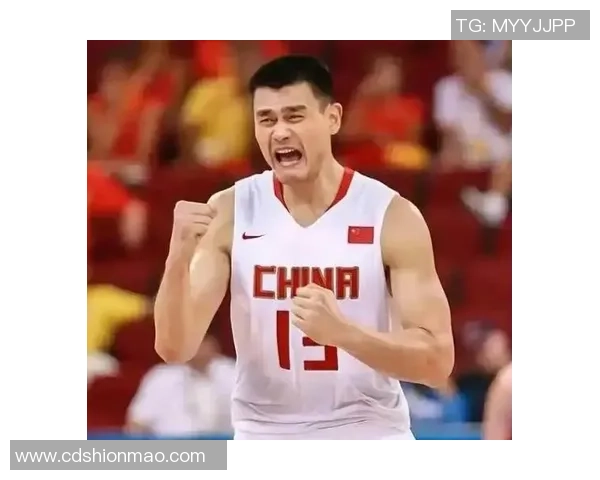 姚明拉根的篮球传奇与跨文化交流的深远影响分析