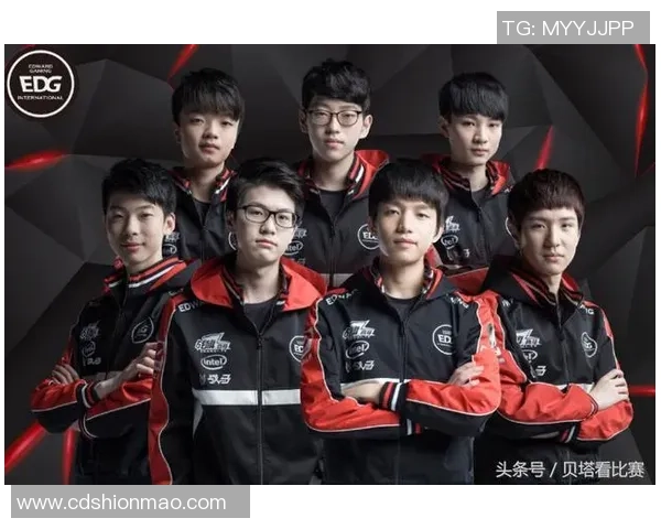 赛后分析：EDG与RNG对决中的战术运用与团队协作经验分享