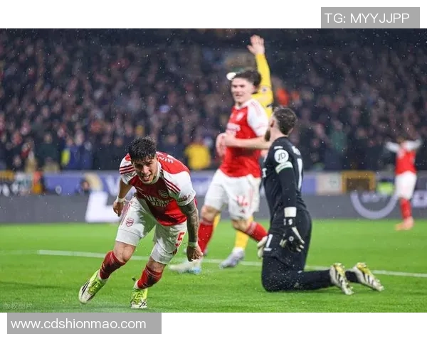 友谊赛精彩对决里昂与阿森纳战成平局全场气氛热烈