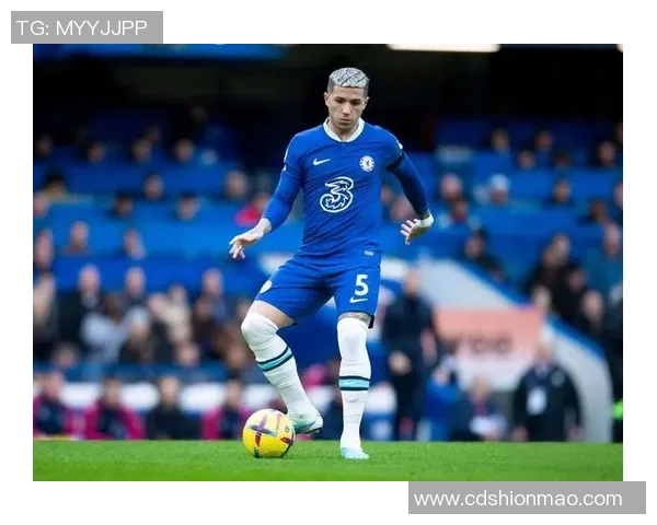 曼城狂胜本菲卡五球大捷乌龙球瞬间点燃全场激情