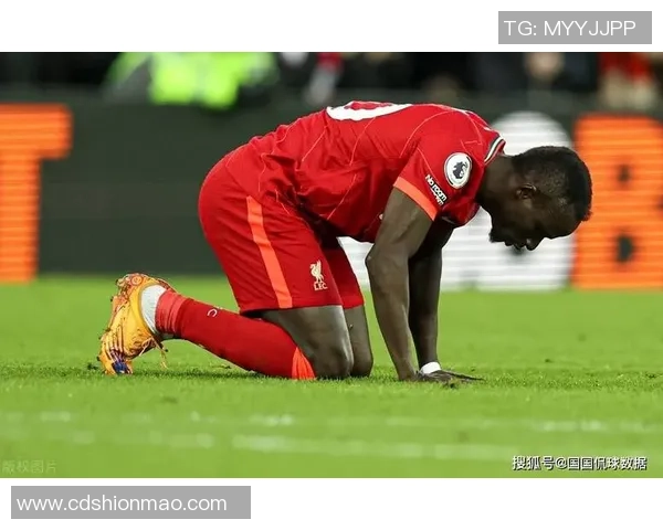 欧冠激战：本菲卡小胜利物浦红牌争议引发全场热议