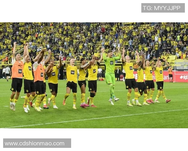 德甲激战曼城与多特蒙德4-3点球大战引爆全场激情时刻